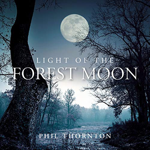 Light of the Forest Moon von NEW WORLD