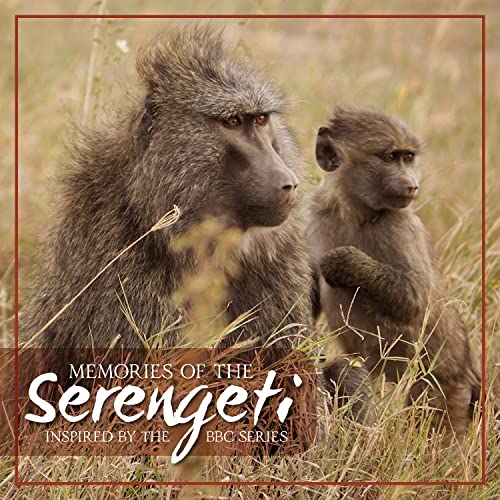 Various - Memories Of The Serengeti von NEW WORLD