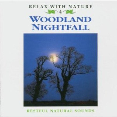 Woodland Nightfall von NEW WORLD