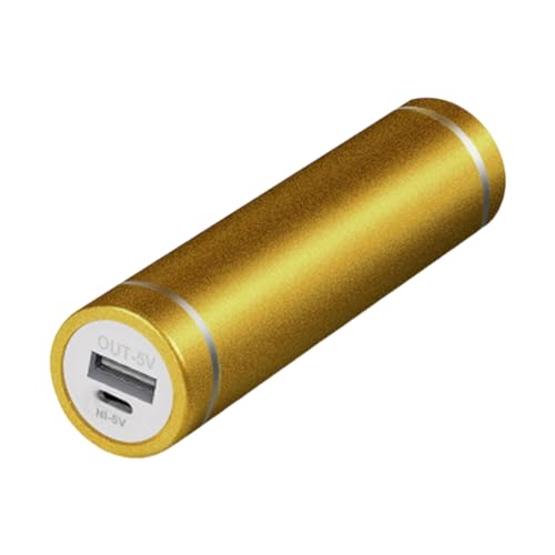 NIHENHAO Powerbank Box Ladekoffer USB Eingang Ausgang Powerbank Case für 18650/21700 Akku Batteriehalter Batterie Nicht enthalten-Gold von NIHENHAO