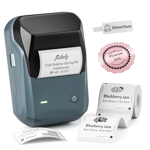 NIIMBOT B1 Etikettendrucker mit 1 Rolle Starterband, 20–50 mm Breite, Thermo-Etikettendrucker, Versandetiketten-Tag-Schreiber für Heimbüro-Organisationen, gewerbliche Nutzung von NIIMBOT