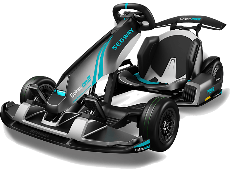 NINEBOT GoKart PRO 2 by Segway E-Board (3 Zoll, Grau) von NINEBOT