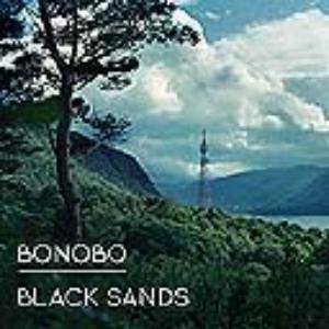 BLACK SANDS LP (VINYL ALBUM) EUROPEAN NINJA TUNE 2010 von NINJA TUNE