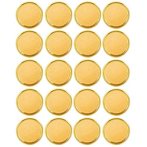 NISHZHU 20 StüCk Goldscheiben Binderinge Plastik Buchbindescheiben für Notizbuch und Planer Scrapbooking (Gold) von NISHZHU