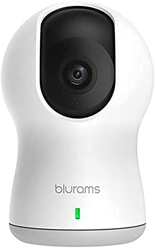 NK - Blurams Dome Lite 720p Dome-Überwachungskamera für zu Hause, WiFi, Mico-Lautsprecher, intelligente Bewegungserkennung, Alarme, Echtzeit-Benachrichtigung, Panoramablick - Kreuzfahrtmodus (iOS von NK