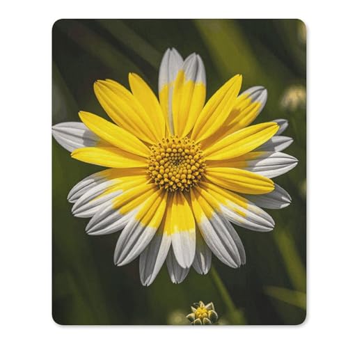 Mauspads mit rutschfester Gummiunterseite, gelb-graue Blume, wasserdicht, Gaming-Mauspad für Computer, Gamer, Büro, Zuhause Mauspads mit rutschfester Gummiunterseite, gelb-graue Blume, wasserdicht, Gaming-Mauspad für Computer, Gamer, Büro, Zuhause von NKJJSTES