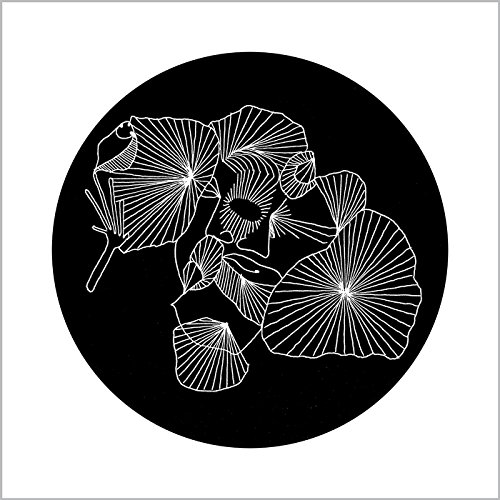 Grid [Musikkassette] von NNA Tapes