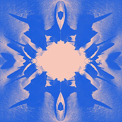Hole in the Landscape [Vinyl LP] von NNA Tapes