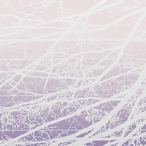Metal Aether / Resonant Field [Vinyl LP] von NNA Tapes