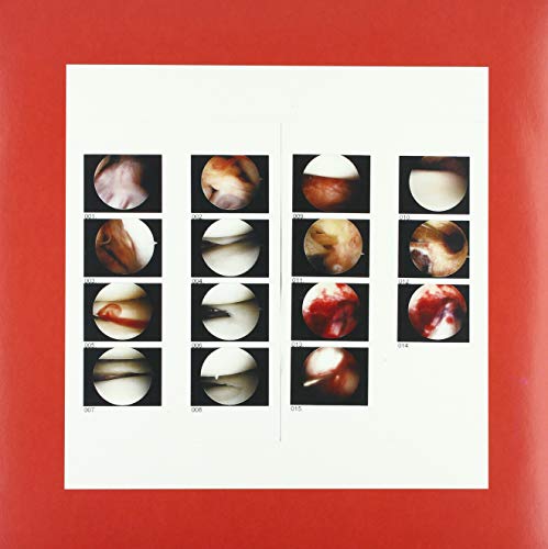 Laughing in My Sleep [Vinyl LP] von AMS