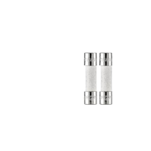 NNDUCQOW 10 Stück BK1-S505-6-3-R 250 V 5 x 20 mm Schutz mit Sicherung für langsam wirkende Keramikrohre (BK-S505-6-3-R) von NNDUCQOW