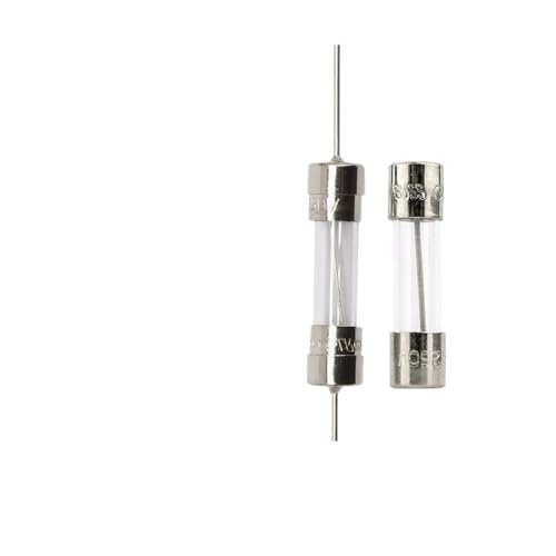NNDUCQOW 10 Stück Haushaltsgeräte S506-315-R 250 V Sicherung für Glasrohr Flachkopf Rohr/langsame Geschwindigkeit von NNDUCQOW