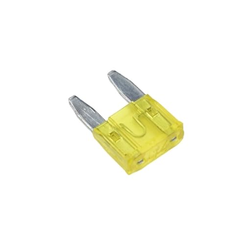 NNDUCQOW Flachsicherung für Automobil ATS-123457.5101520253035A32V Klingentyp für Automobile Kleine Klinge (20 A) von NNDUCQOW
