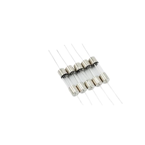NNDUCQOW Glas-Sicherungsrohr für Induktionskochfeld F5A 10A 12A 15A 20A 250V mit Bleigelift 5 x 20 mm (520 mm mit Pin Glass 3A) von NNDUCQOW