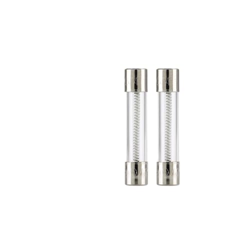 NNDUCQOW Langsame Sicherung MDL-2A-R 250 V für Glasrohr mit 10 Stück für Haushaltsgeräte von NNDUCQOW