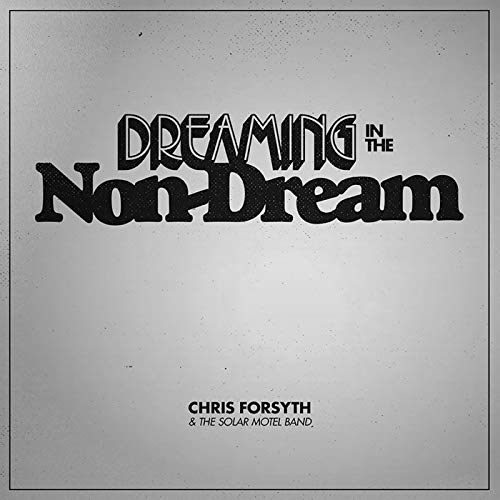 Dreaming in the Non-Dream [Vinyl LP] von NO QUARTER