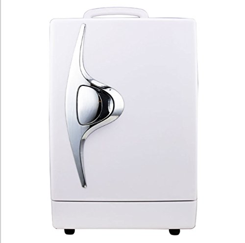 NOALED Kühlbox-Autokühlschrank, 15-Liter-Autokühlschrank, tragbarer Mini-Kühlschrank, AC- und DC-Hotspot-System, Thermostat. von NOALED