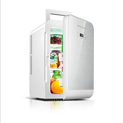 NOALED Kühlbox-Autokühlschrank, 20-Liter-Autokühlschrank, tragbarer Mini-Kühlschrank, AC- und DC-Hotspot-System, Thermostat, Medikamentenaufbewahrung, Kosmetikkühlschrank (Farbe: Gold) (S von NOALED