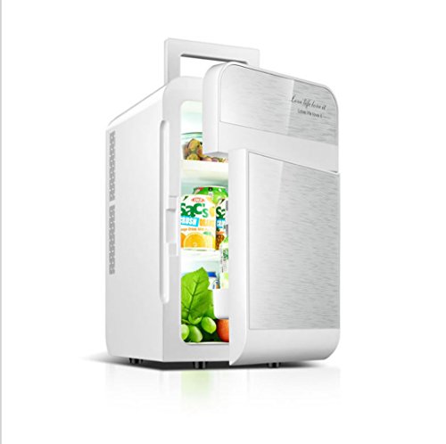 NOALED Kühlbox-Autokühlschrank, 20-Liter-Autokühlschrank, tragbarer Minikühlschrank, 12-V-Gleichstromversorgung, Thermostat, Kühler. (Farbe: Gold) (Silber) von NOALED