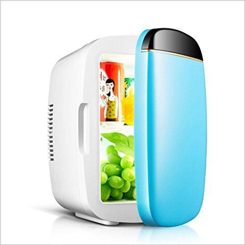 NOALED Kühlbox-Autokühlschrank, 6-Liter-Autokühlschrank, tragbarer Mini-Kühlschrank, AC- und DC-Hotspot-System, Thermostat, Medikamentenaufbewahrung, Kosmetikkühlschrank (Farbe: Weiß) (B von NOALED