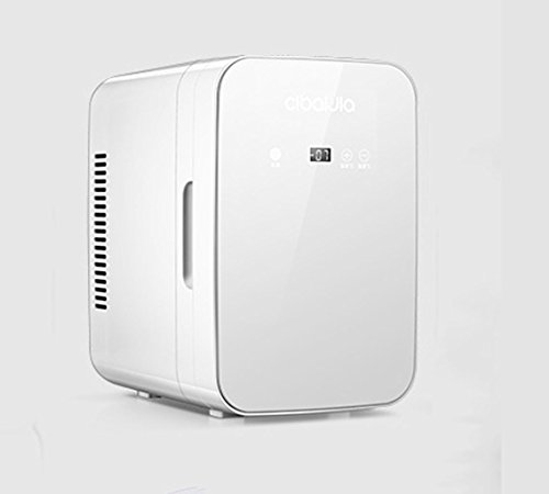 NOALED Kühlbox-Autokühlschrank, 8-Liter-Autokühlschrank, tragbarer Minikühlschrank, 12-V-Gleichstromversorgung, Thermostat, Kühler. von NOALED