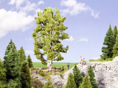 NOCH 0021641 Baum Birke 190mm 1St. NOCH 0021641 Baum Birke 190mm 1St. von NOCH