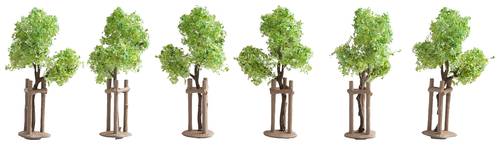 NOCH 21538 Baumpackung Jungbaum 40cm (min) 6St. von NOCH