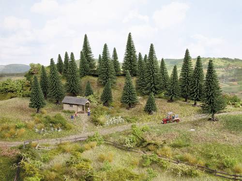 NOCH 26830 Baumpackung Tanne 50 bis 140mm Dunkelgrün 25St. NOCH 26830 Baumpackung Tanne 50 bis 140mm Dunkelgrün 25St. von NOCH