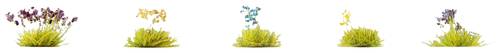 NOCH 6805 Bodengestaltungs-Set Blumenwiese Grün-Gelb, Blau-Weiß, Lavendel NOCH 6805 Bodengestaltungs-Set Blumenwiese Grün-Gelb, Blau-Weiß, Lavendel von NOCH