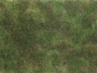 NOCH Bodendecker-Foliage olivgrün, H0 (1:87)/TT (1:120), Grün von NOCH
