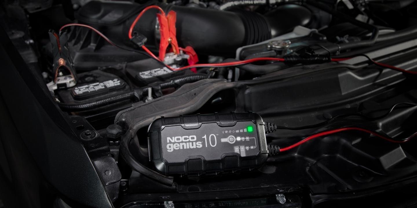 NOCO GENIUS10 EU 10A Batterieladegerät für 6V/12V Batterien mit Wartungs- und Entschwefelungsfunktion (GENIUS10EU) von NOCO