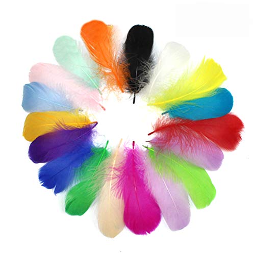 NOENNULL 100pcs/300pcs Farbenfrohe Federn für DIY -Kunsthandwerk, Hochzeitsdekorationen, Home -Party -Dekor, Kostümzubehör, Böhmische Mittelstücke, Geschenkverpackung - Verschiedene (Bunt von NOENNULL
