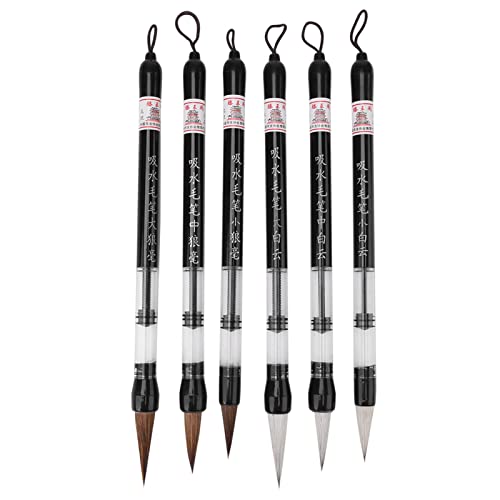 NOENNULL 6 chinesische Wasserpinselstifte mit Kolbenfüllung, zum Üben von Kalligraphie auf Wasser-Schreibtuch von NOENNULL