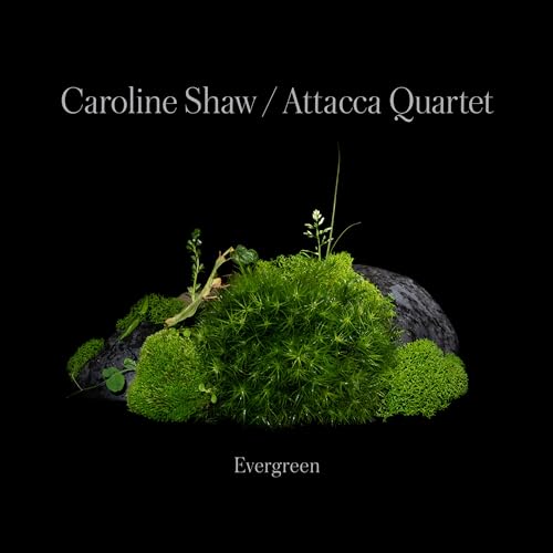Caroline Shaw:Evergreen von NONESUCH