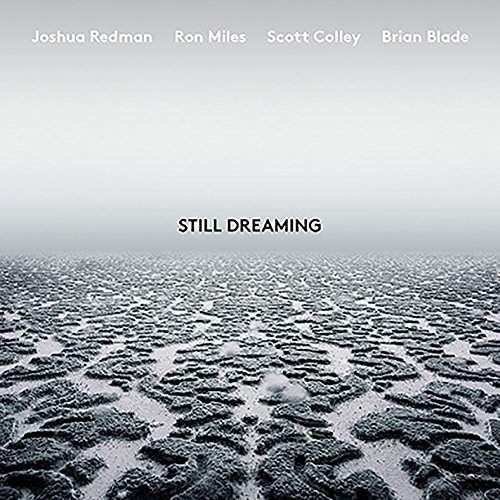 Still Dreaming [Vinyl LP] von NONESUCH