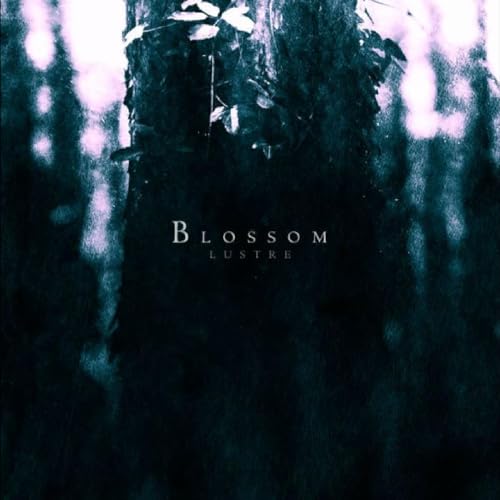 Blossom (Digipak) von NORDVIS