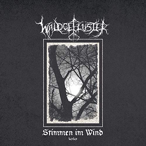 Stimmen im Wind 2020 (Lp+CD) [Vinyl LP] von NORDVIS