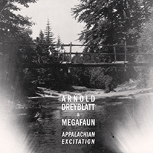 Appalachian Excitation [Vinyl LP] von NORTHERN SPY