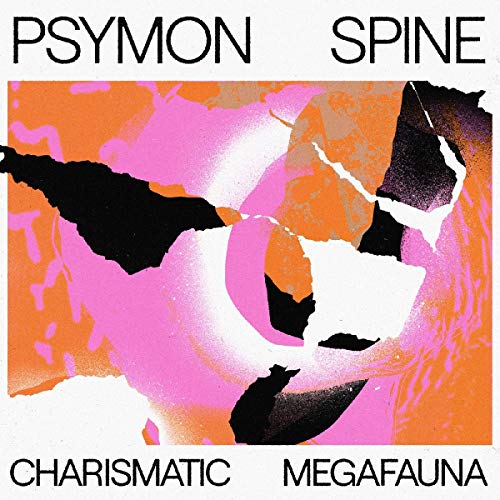 Charismatic Megafauna [Vinyl LP] von NORTHERN SPY