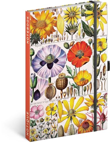 NOTIQUE Notizbuch Gepunktet mit Gummiband 13x21cm ca. A5, Designer Hardcover Notebook Dotted, Notizblock, Notizheft, Journal, Tagebuch für Erwachsene, Damen (Artisanale Herbarium) von NOTIQUE