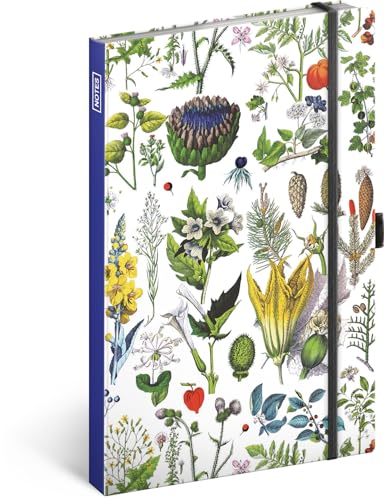 NOTIQUE Notizbuch Gepunktet mit Gummiband 13x21cm ca. A5, Designer Hardcover Notebook Dotted, Notizblock, Notizheft, Journal, Tagebuch für Erwachsene, Damen (Artisanale Kräuter) von NOTIQUE