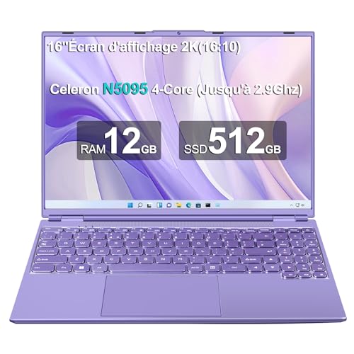 NOTODD 40,6 cm (16 Zoll) Notebook Celeron N5095 (bis zu 2,9 GHz) / Lüfter / 5G WiFi / 1920 x 1200 2K Doppelbildschirm - Purple-FXJ von NOTODD