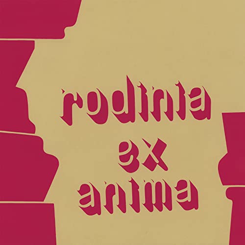 Ex Anima [Vinyl LP] von NOW-AGAIN RECORD