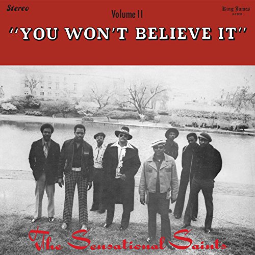 You Wont Believe It [Vinyl LP] von NUMERO GROUP