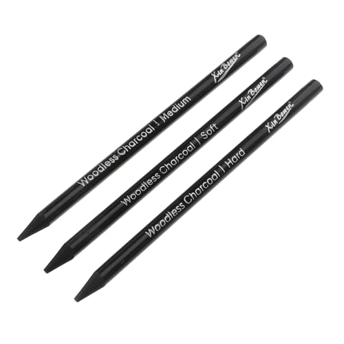 NUOBESTY 3 Teiliges Set Skizzenkohlestifte Weiche Kohlestifte Künstlerstifte Skizzieren Und Schattieren Kunststifte Zum Zeichnen Und Schattieren Holzlose Aquarellstifte Schwarzkohle von NUOBESTY