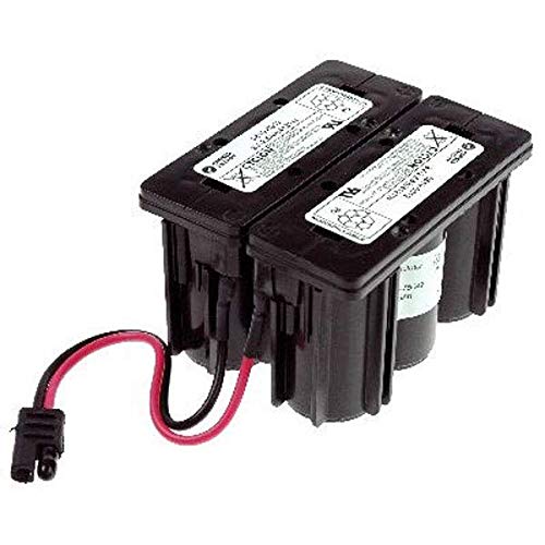 NX - Rasenmäher Batterie BS1225 / FBS1225 Cyclon AGM 12V 2.5Ah - 0819-0024 ; 981 von NX