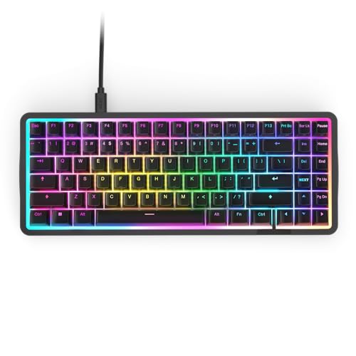 Magnetische RGB-Gaming-Tastatur NZXT Function Elite MiniTKL – anpassbare Betätigung, Doppelschienen-Halleffekt-Schalter, Rapid Trigger, 8K-Abfrage – verbessertes Tippgeräusch und -gefühl – DE –Schwarz von NZXT