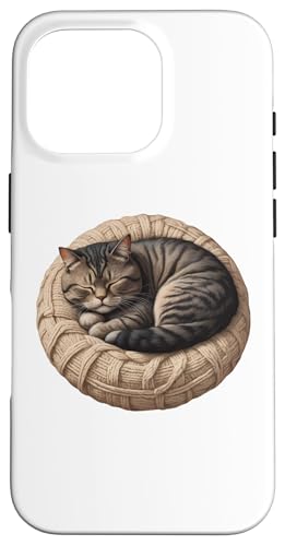 Katze schläft auf rundem Kissen, niedliches Design, Geschenk, Kätzchenliebhaber Hülle für iPhone 16 Pro Katze schläft auf rundem Kissen, niedliches Design, Geschenk, Kätzchenliebhaber Hülle für iPhone 16 Pro von Nadiya