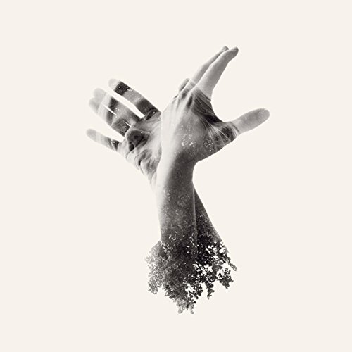 The Nothing [VINYL] [Vinyl LP] von Naim