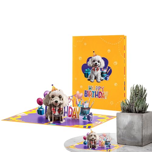 Nankoyal Popup-Karte zum Geburtstag, lustiger Hund, lustiges Urlaubszubehör für ihn, Freund, Freundin, Opa, Jungen, Enkel, Kinder, Tante, Mutter, Tochter Nankoyal Popup-Karte zum Geburtstag, lustiger Hund, lustiges Urlaubszubehör für ihn, Freund, Freundin, Opa, Jungen, Enkel, Kinder, Tante, Mutter, Tochter von Nankoyal
